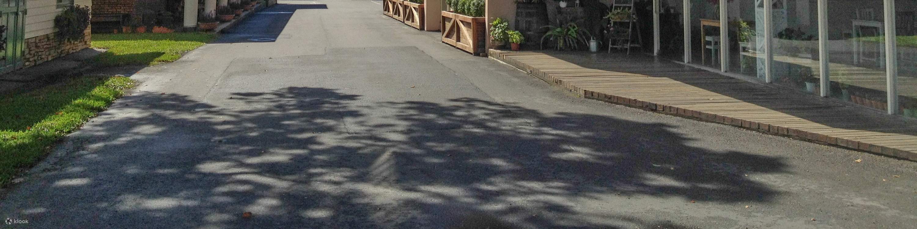 Yilan : Bricolage de fruits confits